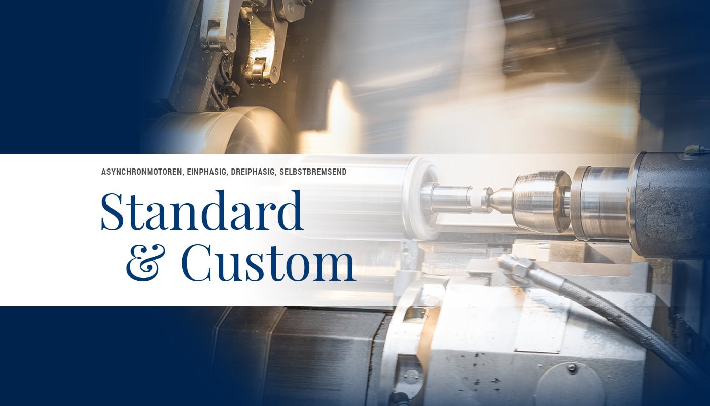 Einphasige, dreiphasige, selbstbremsende Asynchronmotoren